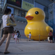 Image for article titled In China, There Are Too Many Giant Rubber Duck Rip-Offs